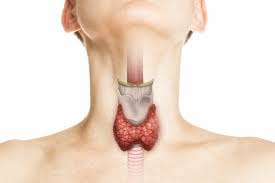 Throat Surgeries